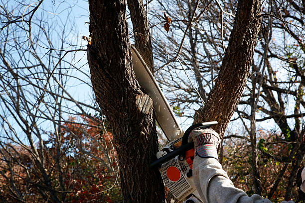 Landscape Design and Installation in Greeneville, TN
